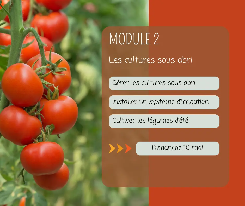 Module 2 Gérer les cultures sous abri