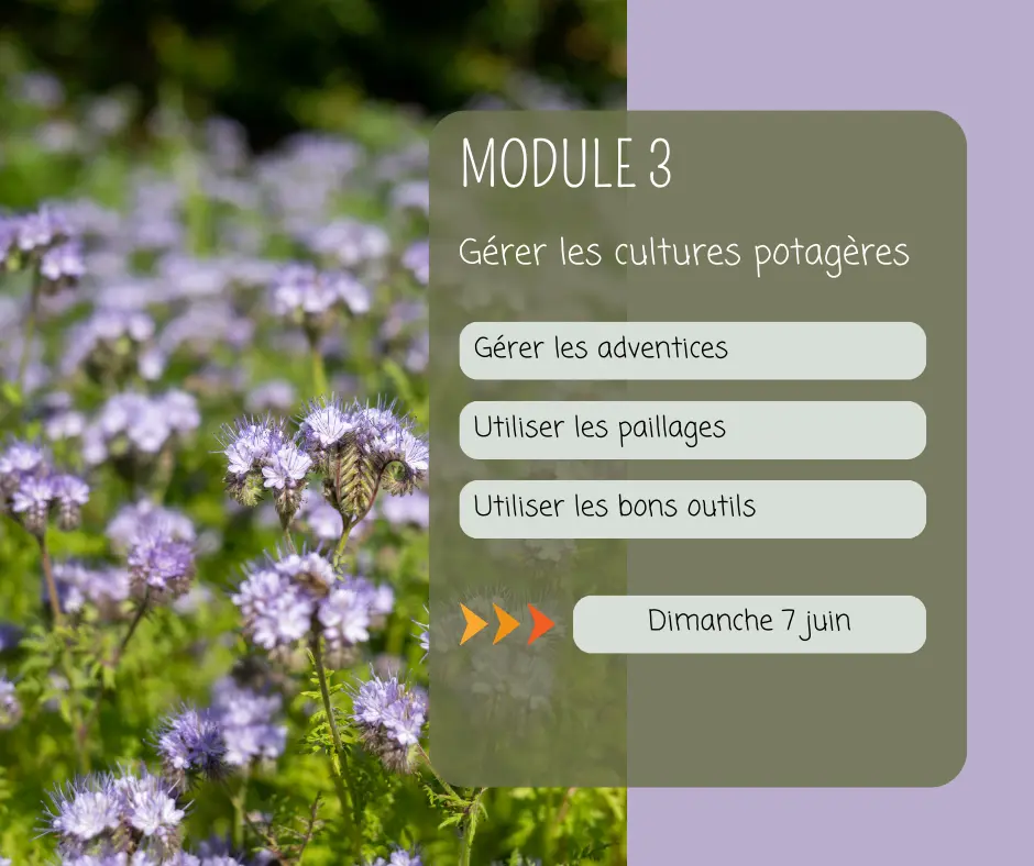 Module 3 Gérer les cultures potagères