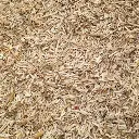 miscanthus 1.webp
