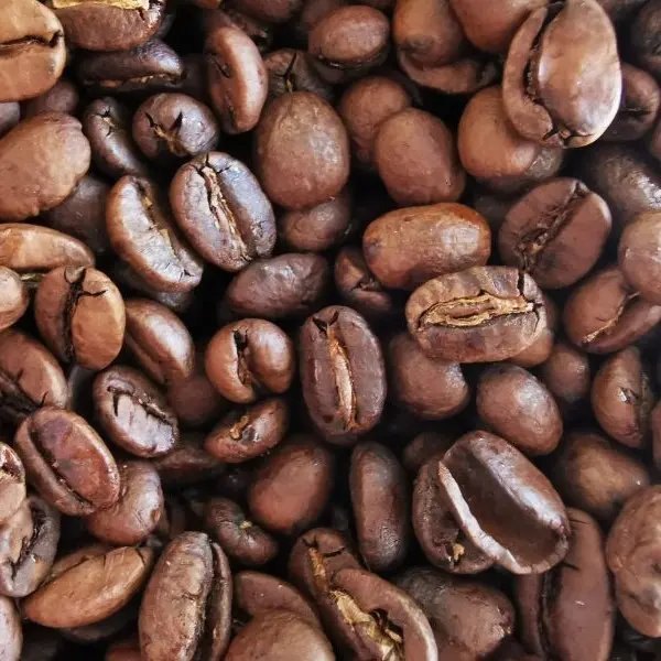 Café Pérou en grains par 500g