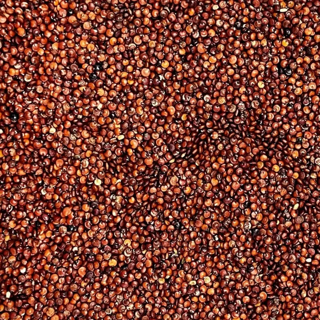 Quinoa par 500g