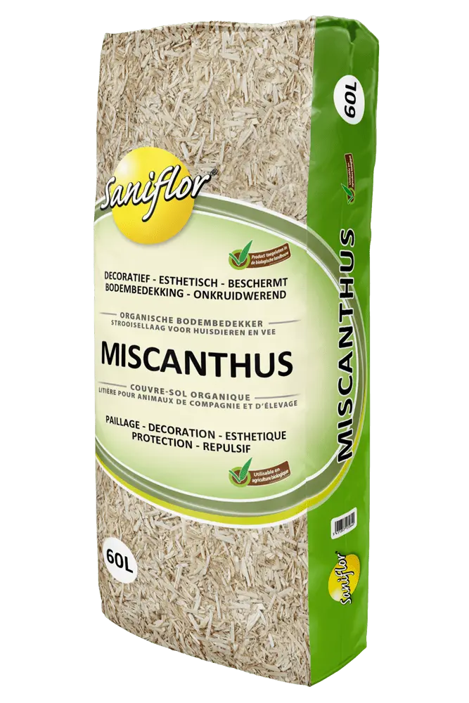 Paillage de miscanthus