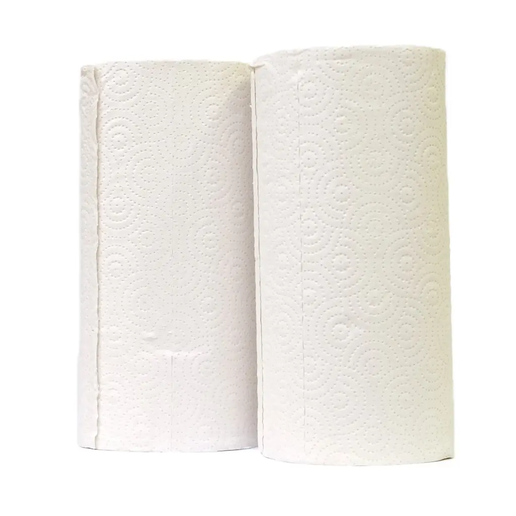 Essuie-tout 1 rouleau