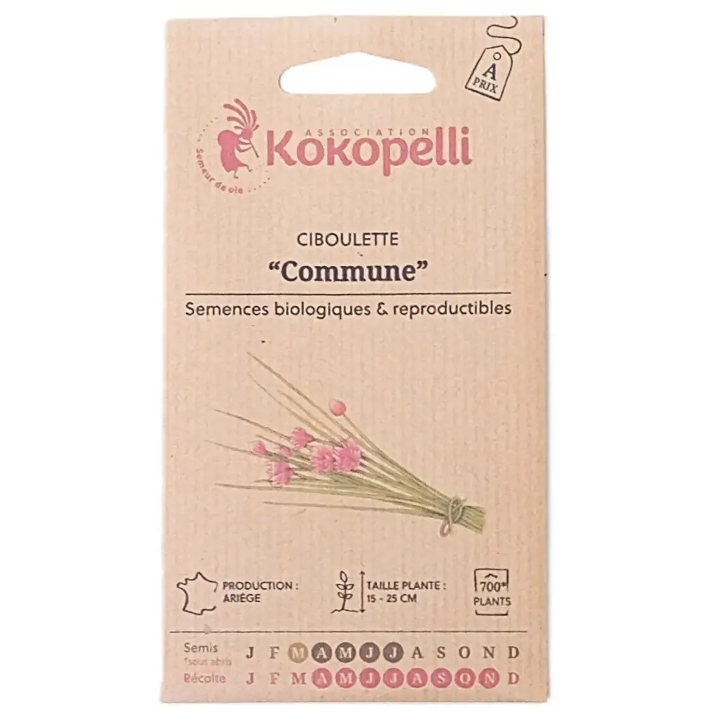 Semences de ciboulette