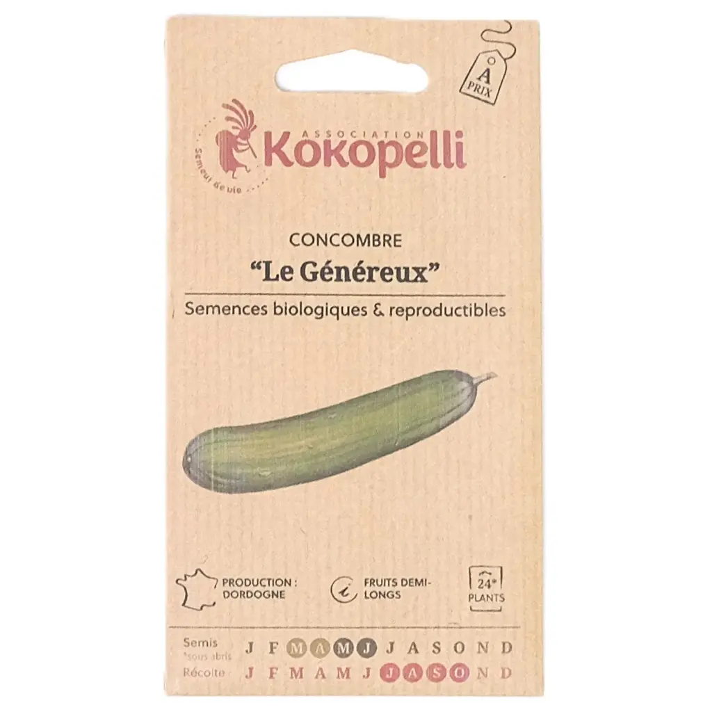 Semences de concombre