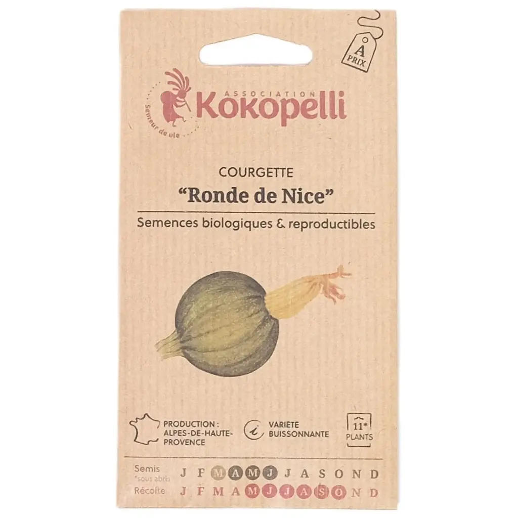 Semences de courgette ronde