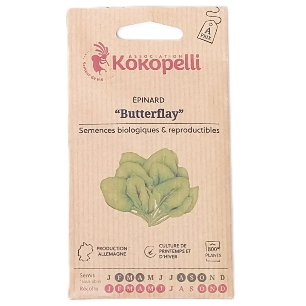 Semences d'épinards