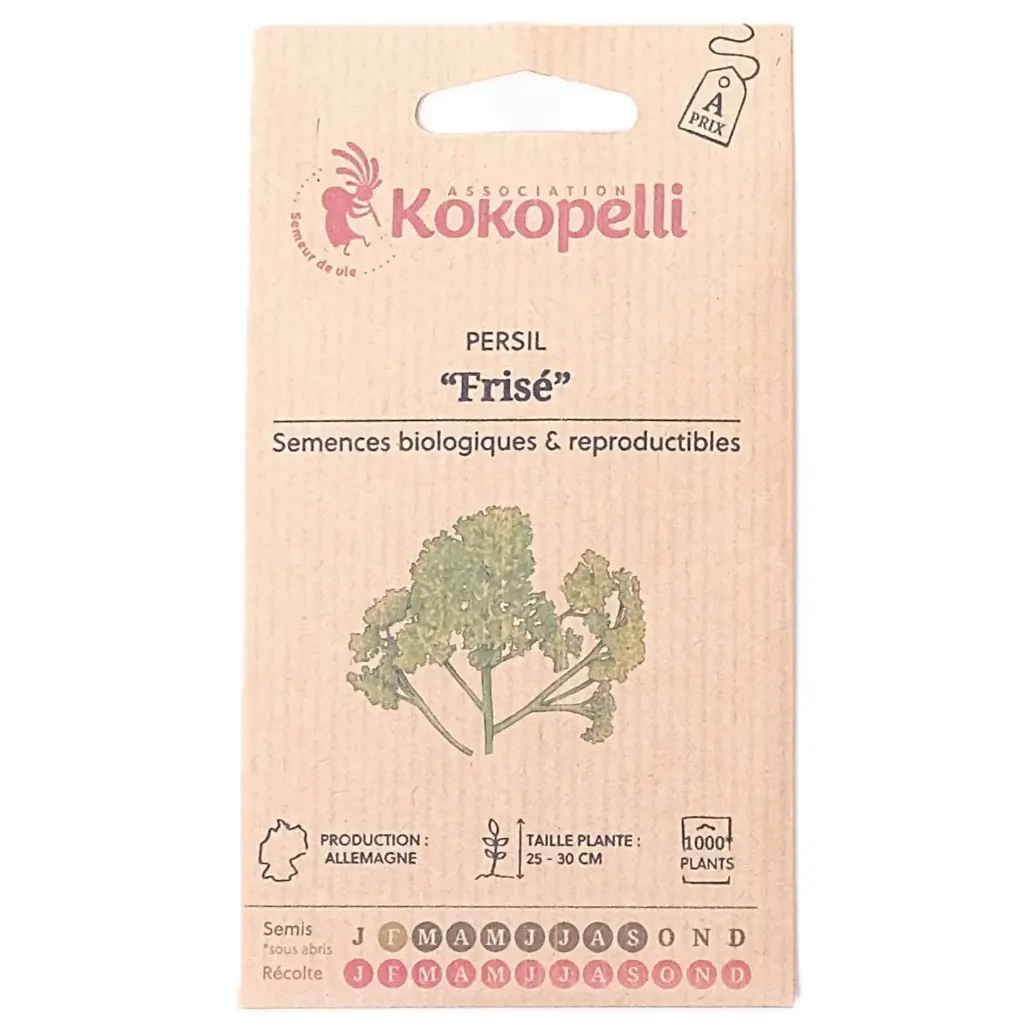 Semences de persil frisé