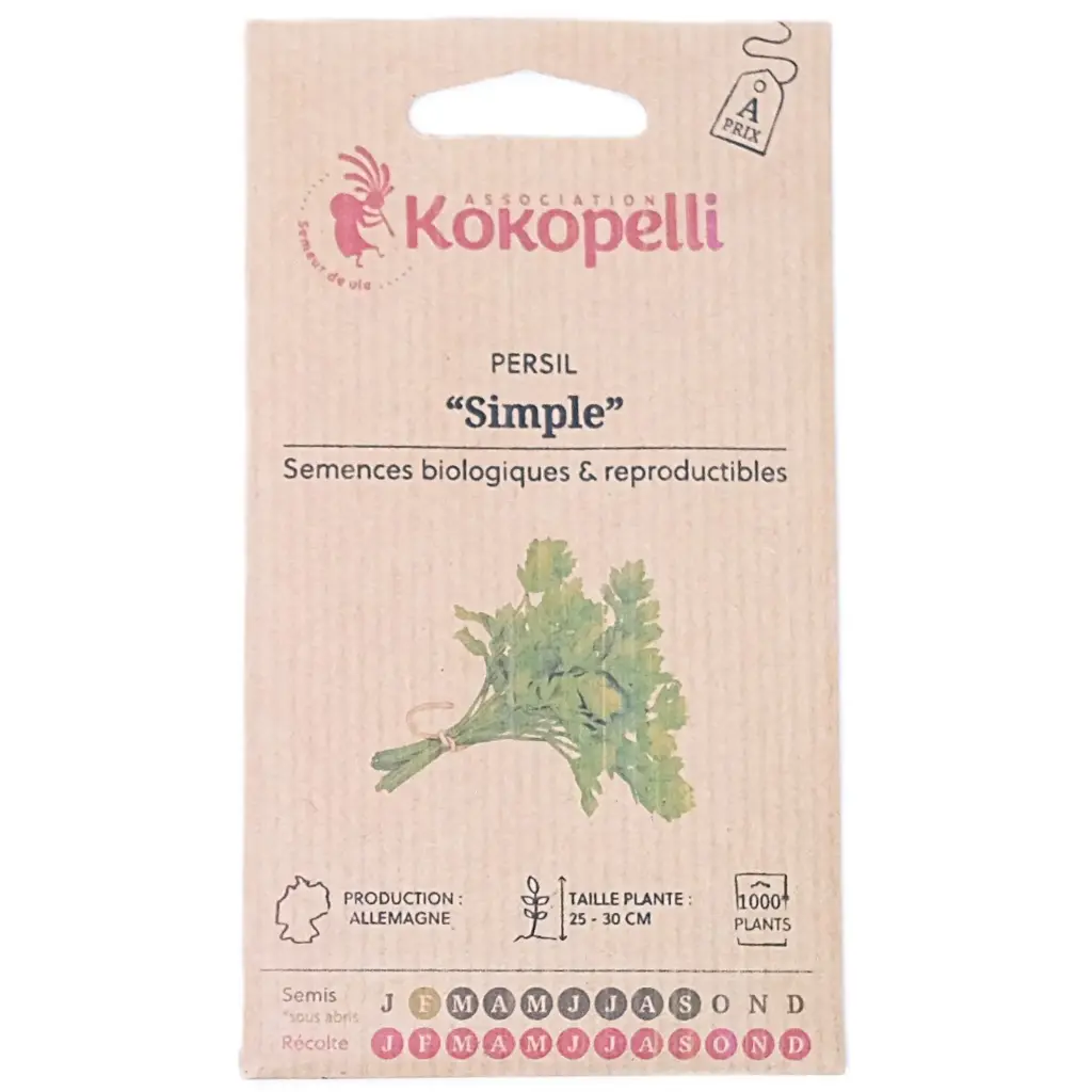 Semences de persil plat