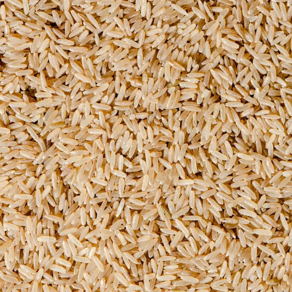 Riz complet