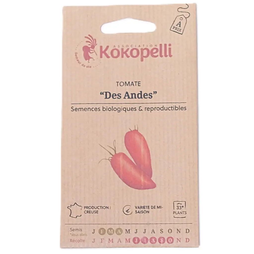 Semences de tomates allongées