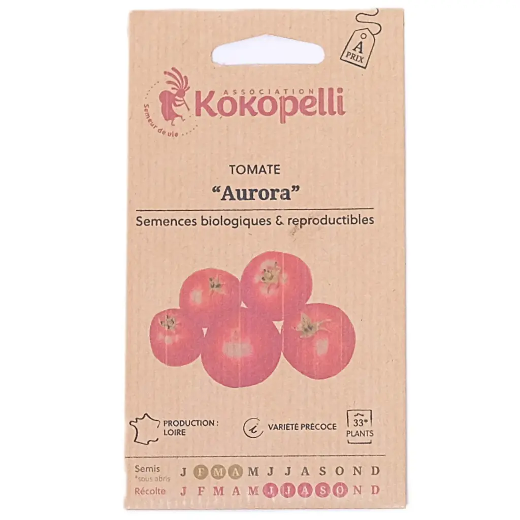 Semences de tomates rouges