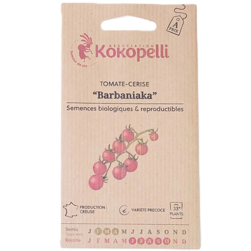 Semences de tomates-cerise rouges
