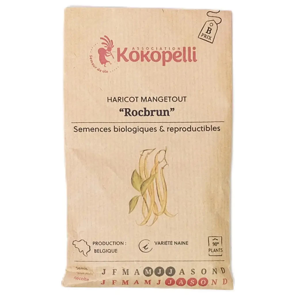 Semences de haricots jaunes