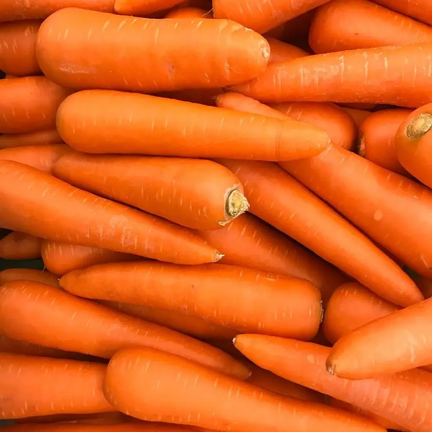 Carottes par 500g