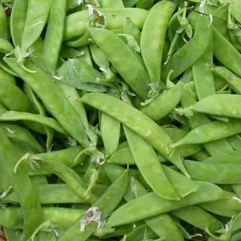 Pois mangetout par 250g