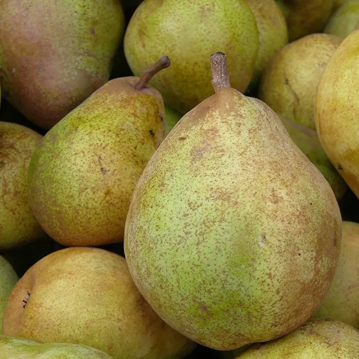 Poires au kg