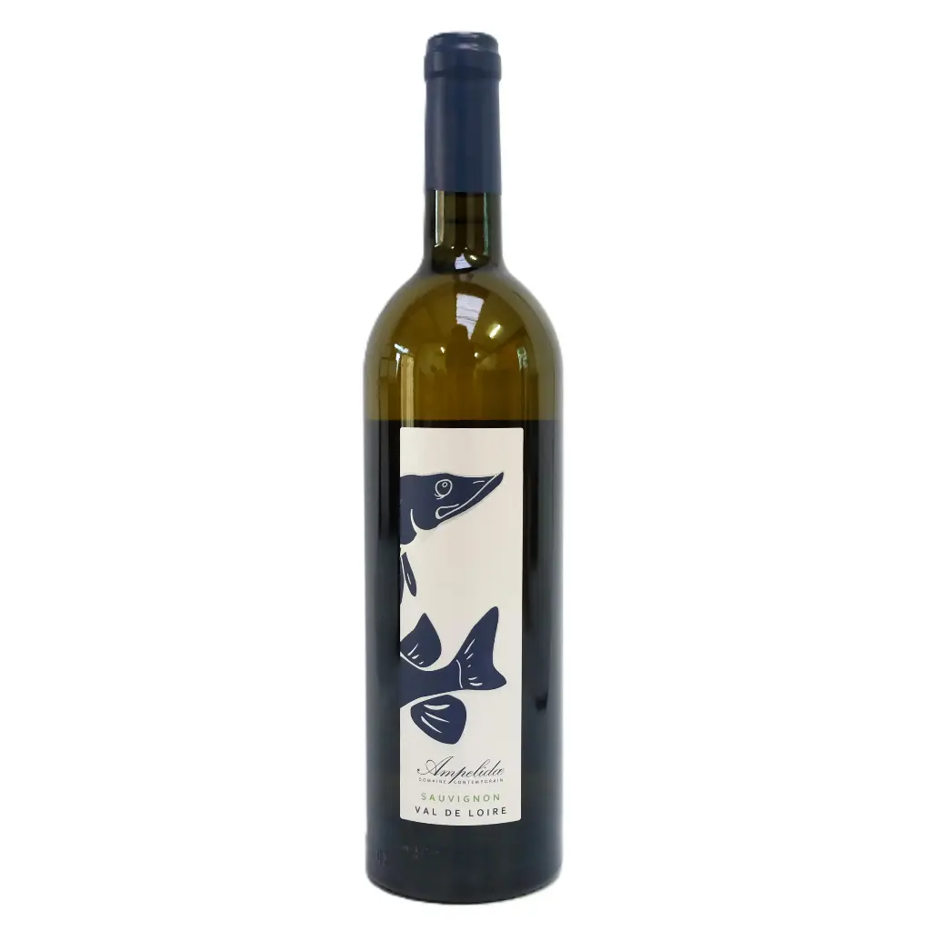 Vin blanc Sauvignon