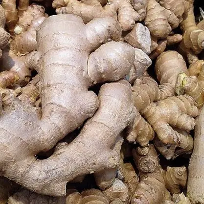 Gingembre frais par 100g