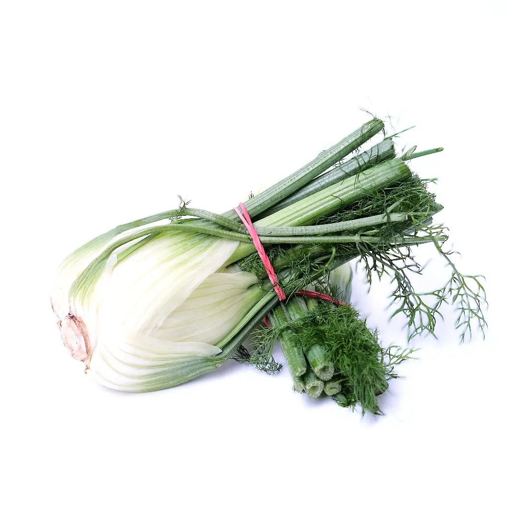 Fenouil