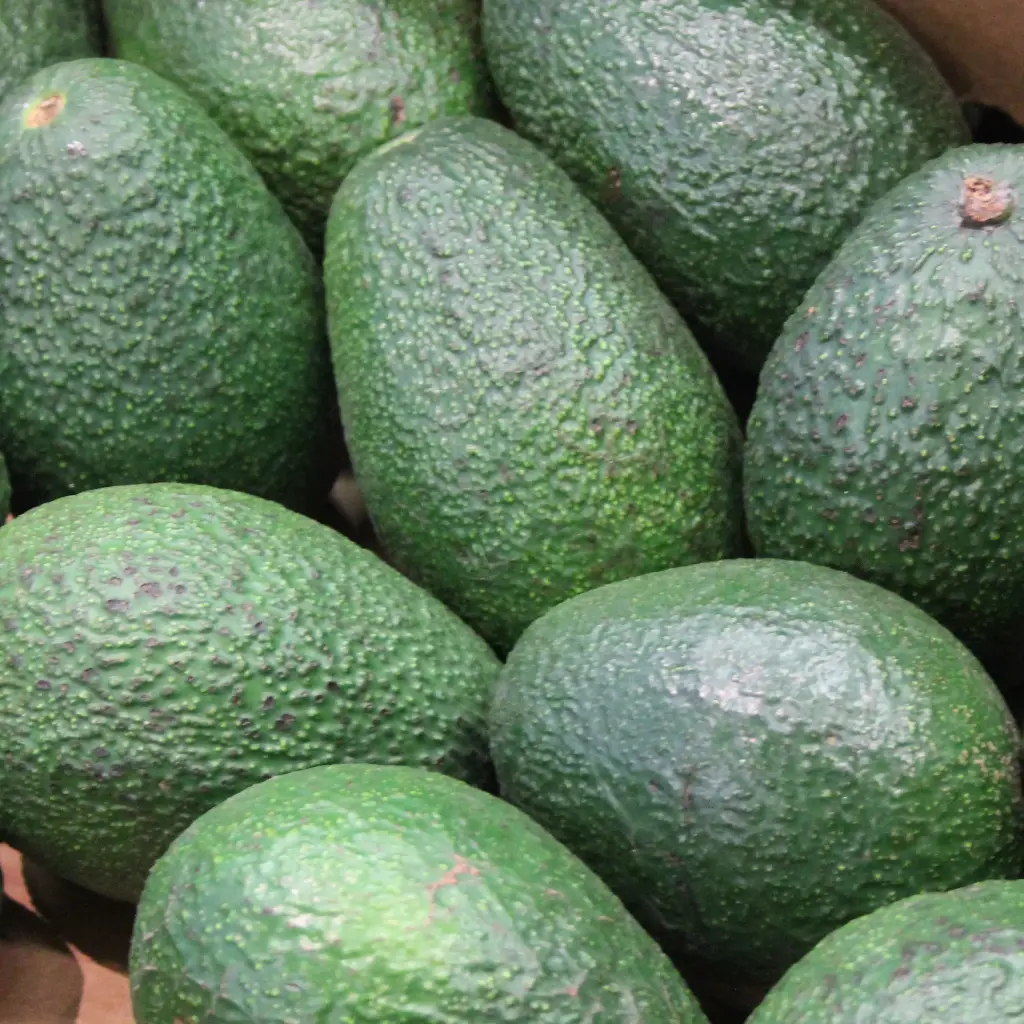 Avocats