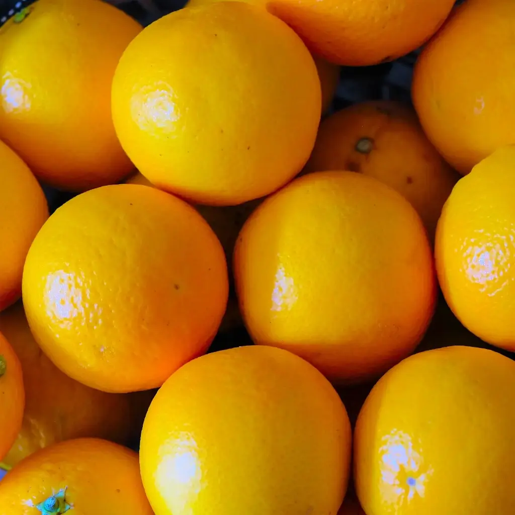 Oranges au kg