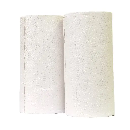 Essuie-tout 1 rouleau