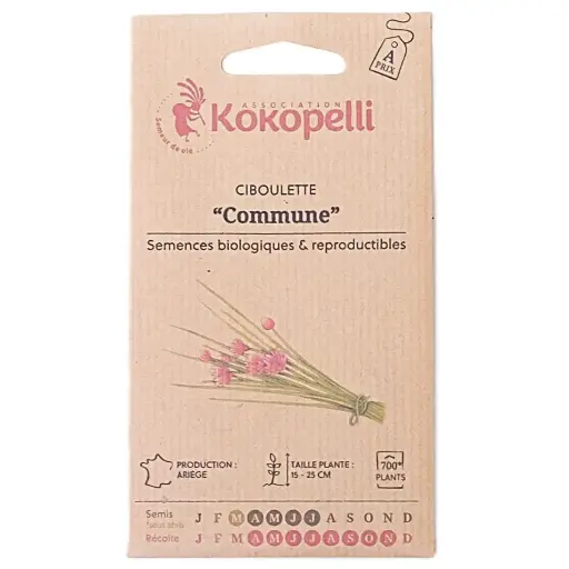 Semences de ciboulette