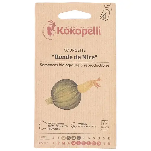 Semences de courgette ronde
