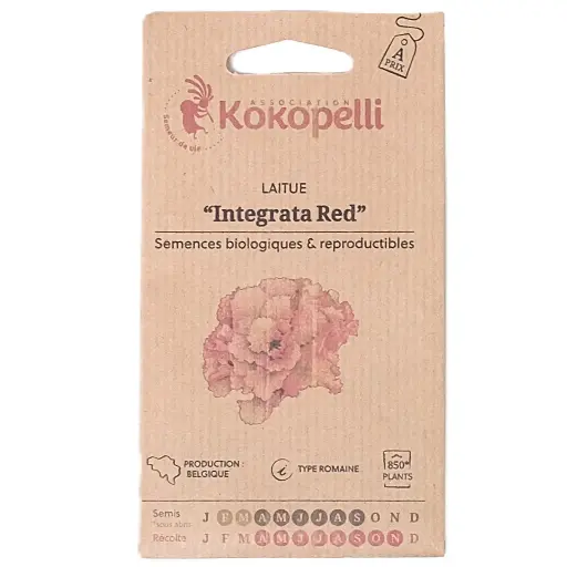 Semences de laitue d'hiver