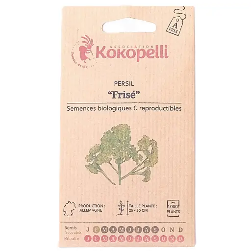 Semences de persil frisé