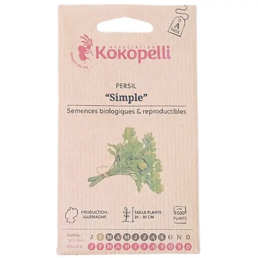 Semences de persil plat