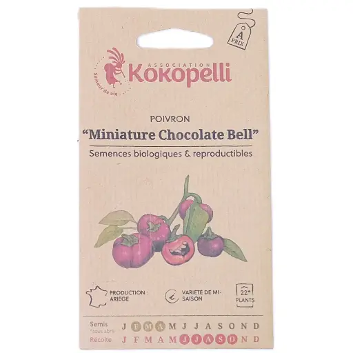 Semences de mini poivrons chocolat
