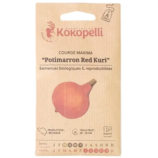 Semences de potimarron