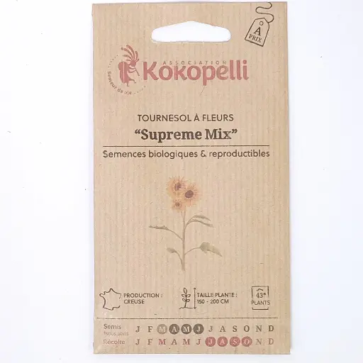 Semences de tournesols