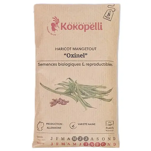 Semences de haricots verts