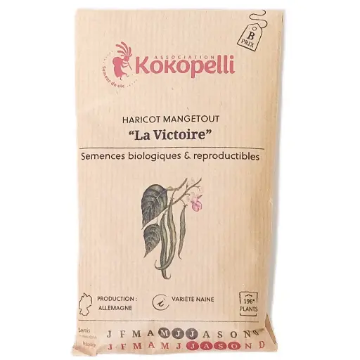 Semences de haricots verts