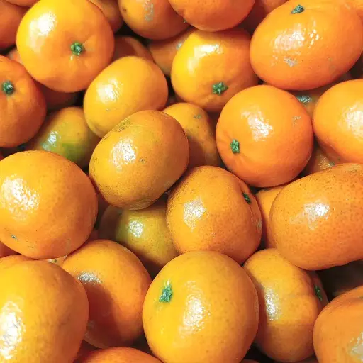 Clémentines par 500g