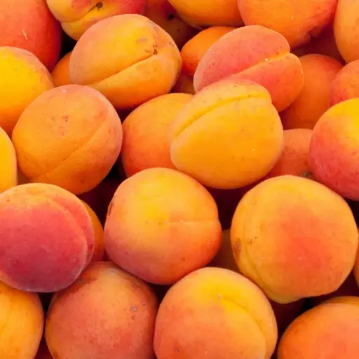 Abricots par 250g