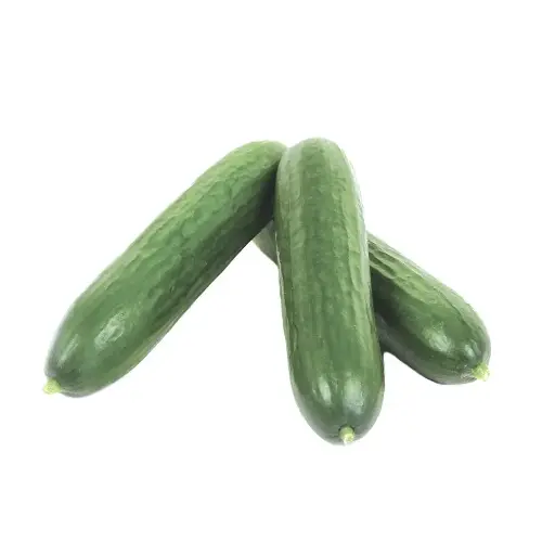 Concombre