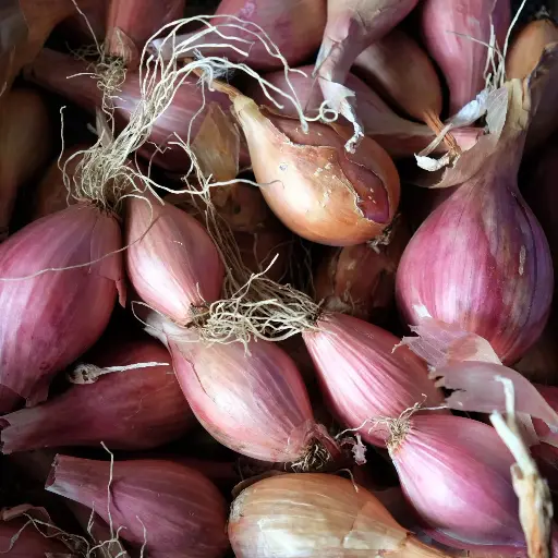 Echalotes par 250g