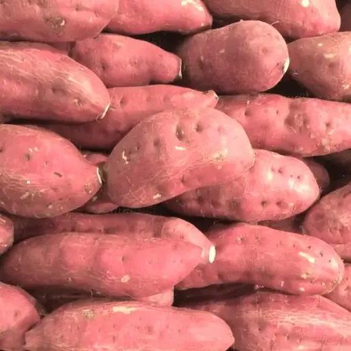 Patates douces par 500g