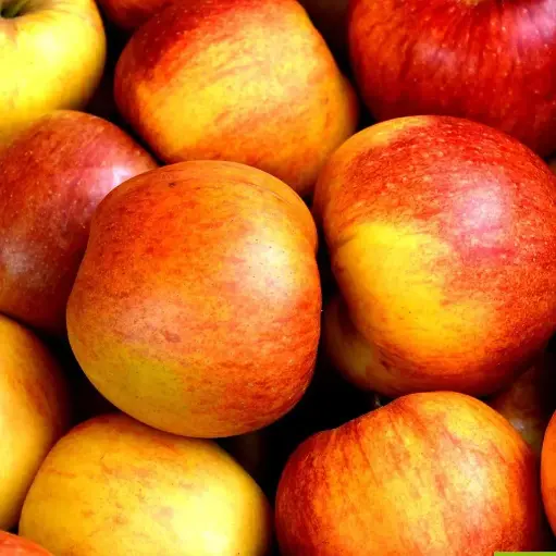 Pommes au kg