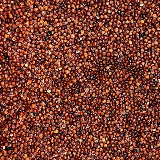 Quinoa par 500g